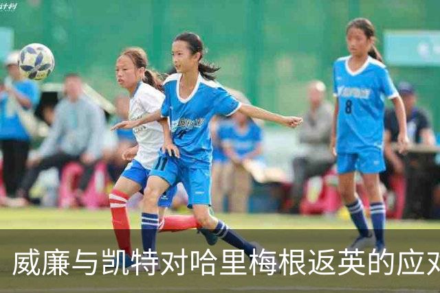 威廉与凯特对哈里梅根返英的应对计划曝光
